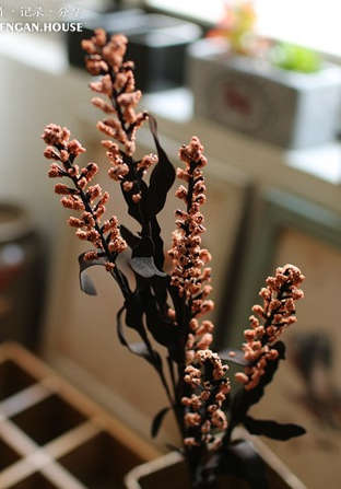 Quality PE silk flower.6 colors Phoenix-tail.69cm length.6flowers/branch.