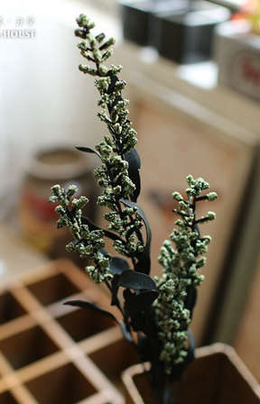 Quality PE silk flower.6 colors Phoenix-tail.69cm length.6flowers/branch.