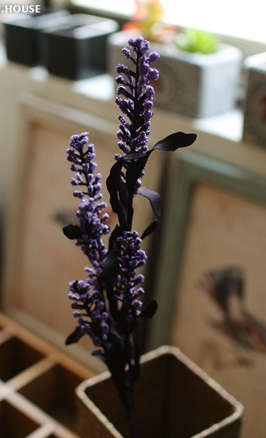 Quality PE silk flower.6 colors Phoenix-tail.69cm length.6flowers/branch.