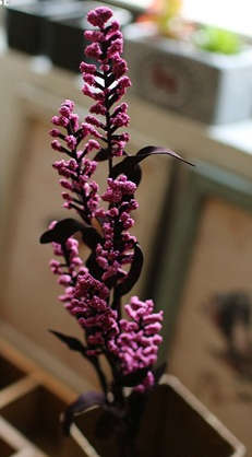 Quality PE silk flower.6 colors Phoenix-tail.69cm length.6flowers/branch.