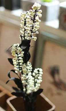 Quality PE silk flower.6 colors Phoenix-tail.69cm length.6flowers/branch.