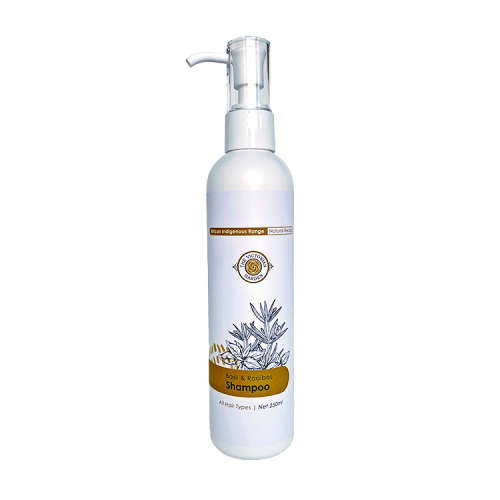 Basil & Rooibos Shampoo