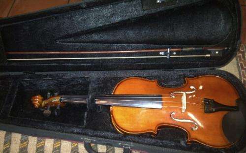 Giuliani Violin!!