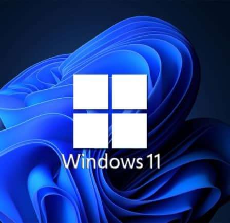 Windows 11 Professional
