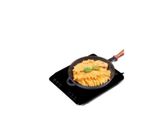 DSP induction cooker KD 5049