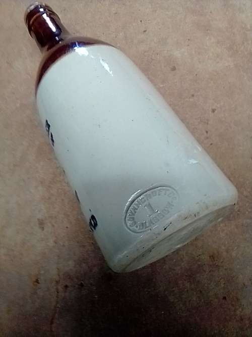 David and Salkow Wynberg Brewed Ginger Beer bottle (no.  138, book)