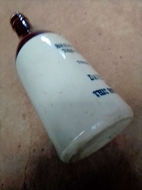 David and Salkow Wynberg Brewed Ginger Beer bottle (no.  138, book)