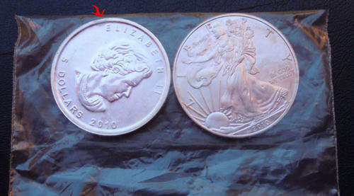Combo: 2010 Silver Maple and Silver Dollar