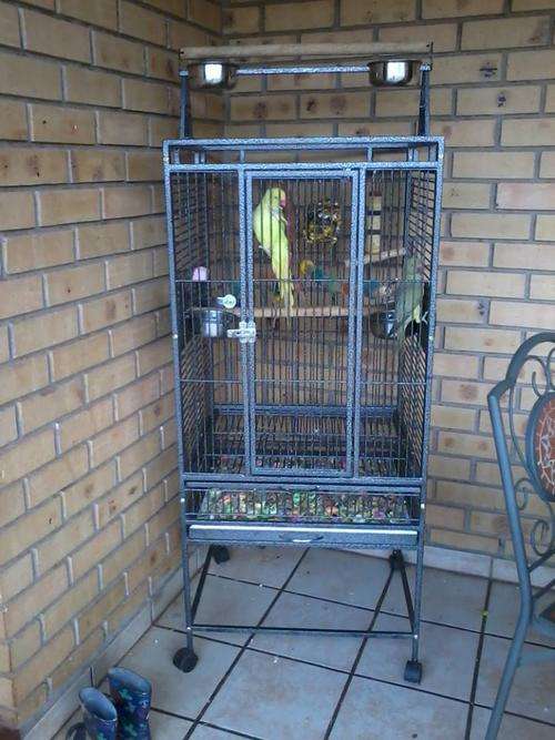 PARROT CAGE