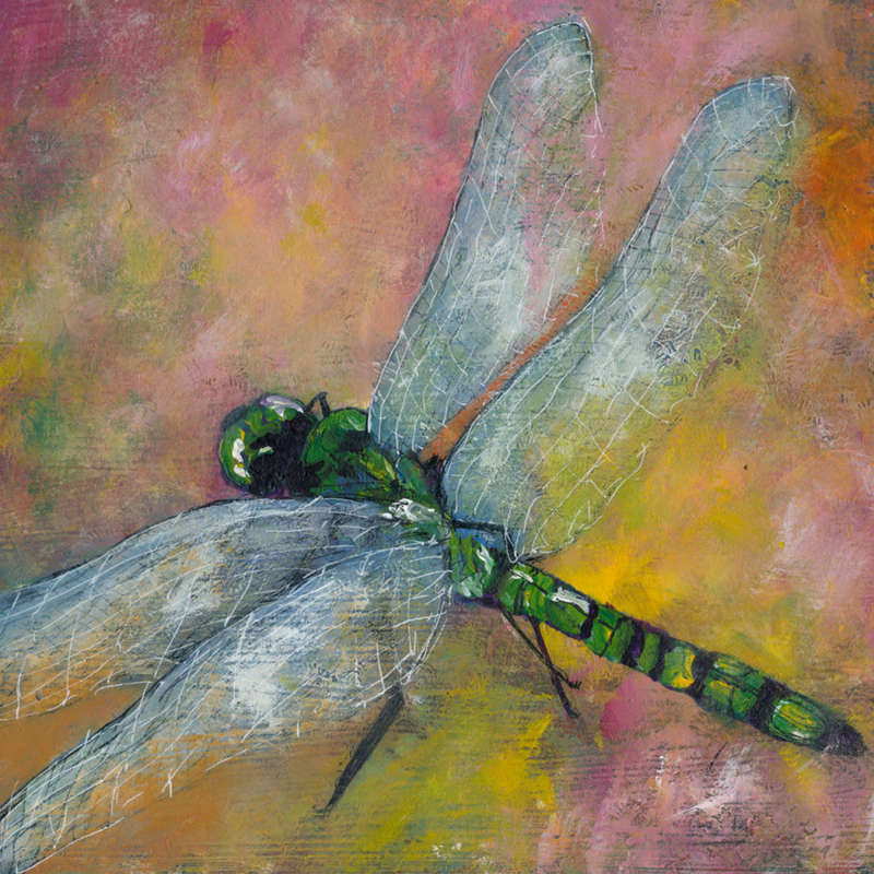 Dragonfly 2- Original Acrylic - Miranda Gerber