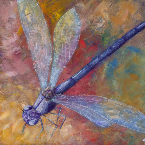 Dragonfly2 20x20cm