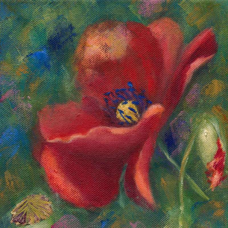 Acrylic Painting - Red Poppy 4 (20mm x 20mm x 25mm) Free Shipping