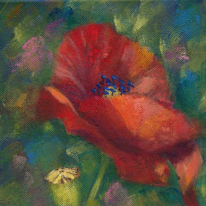 Acrylic Painting - Red Poppy 1