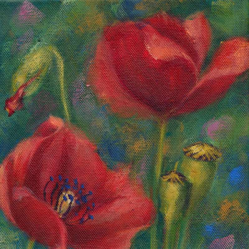 Acrylic Painting - Red Poppy 3