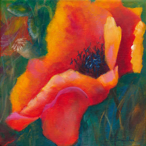 "Poppy 1" by Miranda Gerber 20x20cm