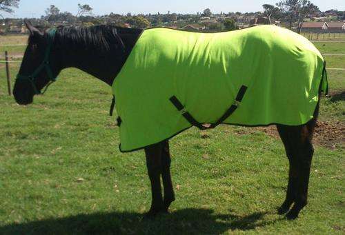 Summer Polar Fleece Blanket
