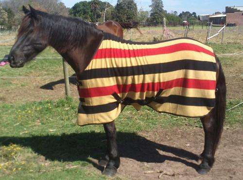 Luxury New Zealand Stripes Polar Fleece Blanket