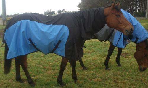 BRAND NEW Imported Luxury Rain Sheet Combo 145cm