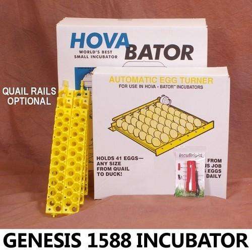 Egg Incubator | Automatic Egg Turner, chicken, duck, quail