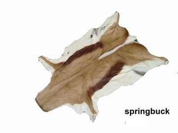 Springbok, Imapal, Blesbok all super grade quality full hides, Tanned