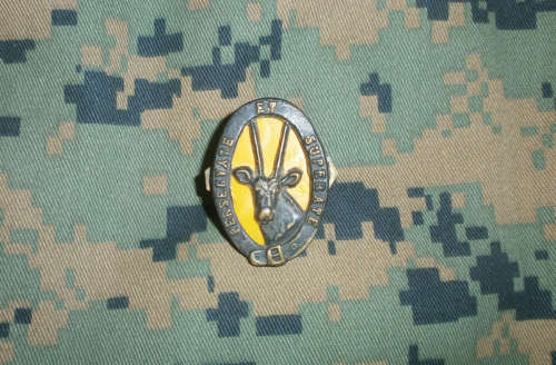 8 SAI Beret Badge