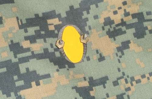 8 SAI Beret Badge