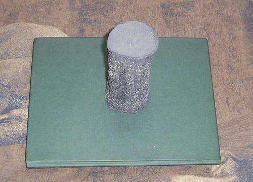 Fossilized Whale Bone