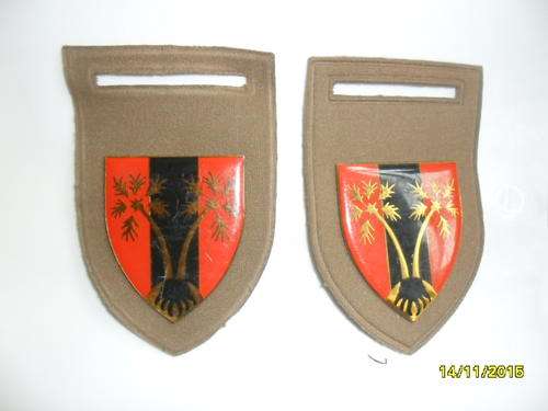 Northern Logistical Command Provost Unit.  Metal flash on rubberised slip on.