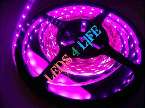 5 YEAR WARRANTY ***PINK*** 4.8W/M LED STRIP LIGHT- NON WATERPROOF - R35.00 PER METER