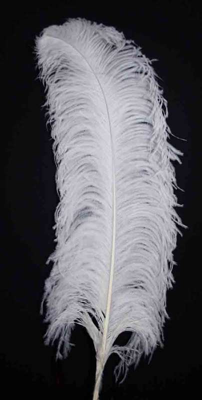 Ostrich Feathers-Decor **Large** R20