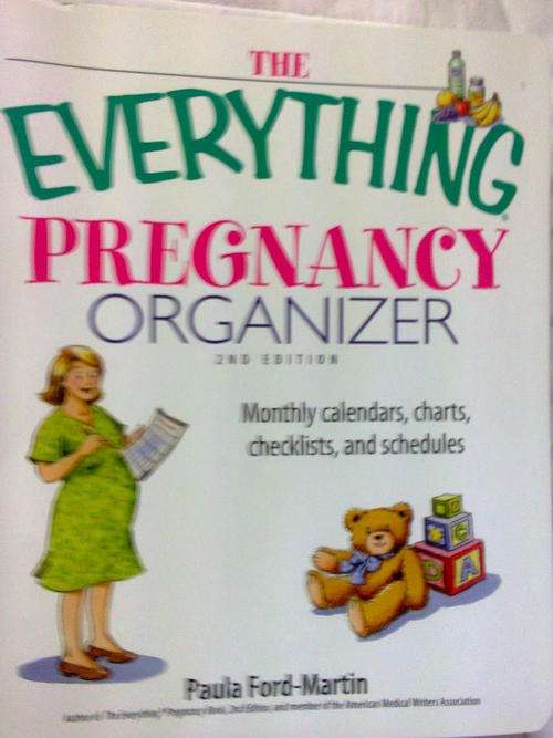 THE EVERYTHING PREGNANCY ORGANIZER - PAULA FORD-MARTIN