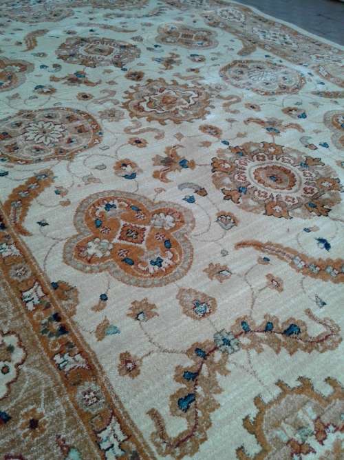 oriental  carpet