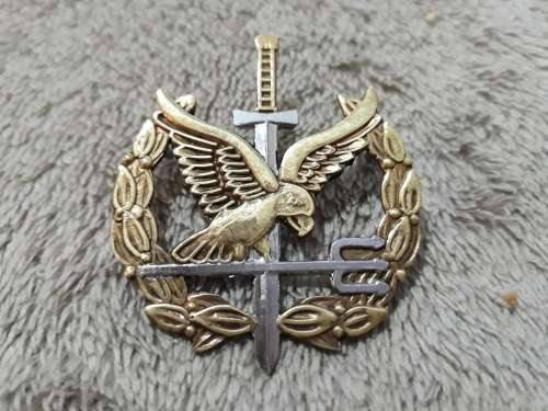 SAP, SPECIAL TASK FORCE - OPERATOR BADGE (1st type) - ORIGINAL (numbered)- all pins