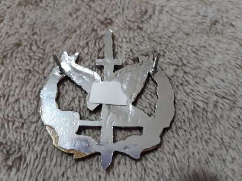 SAP, SPECIAL TASK FORCE - OPERATOR BADGE (1st type) - ORIGINAL (numbered)- all pins