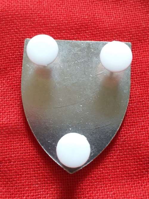 SWA 102 Battalion pocket flash
