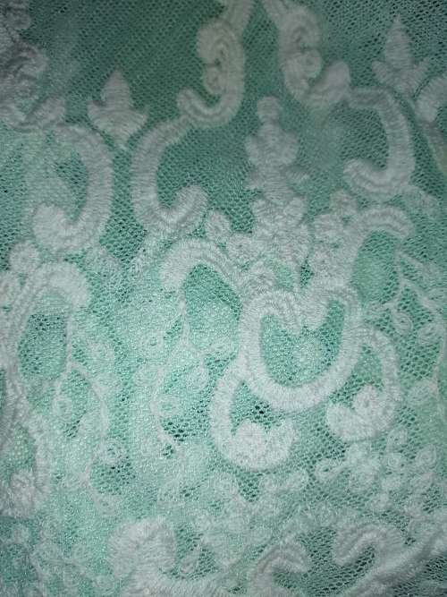 Beautiful Mint Lace Top