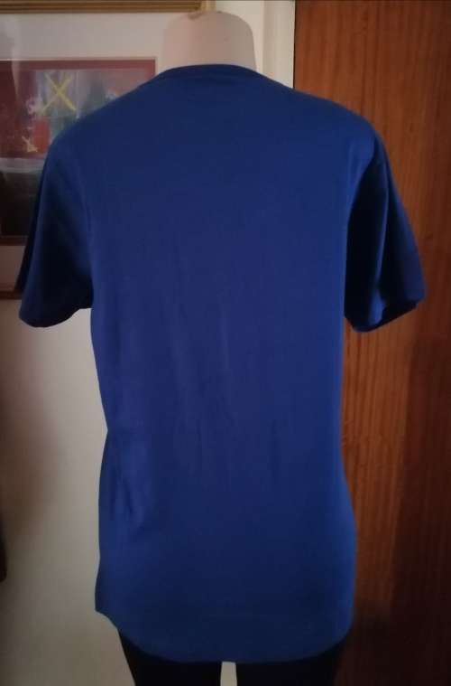 Men`s Blue T-shirt