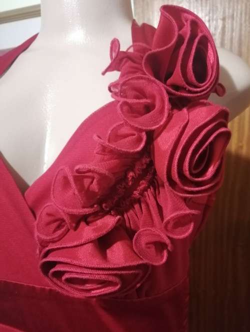 Red Rose Detailed Dress