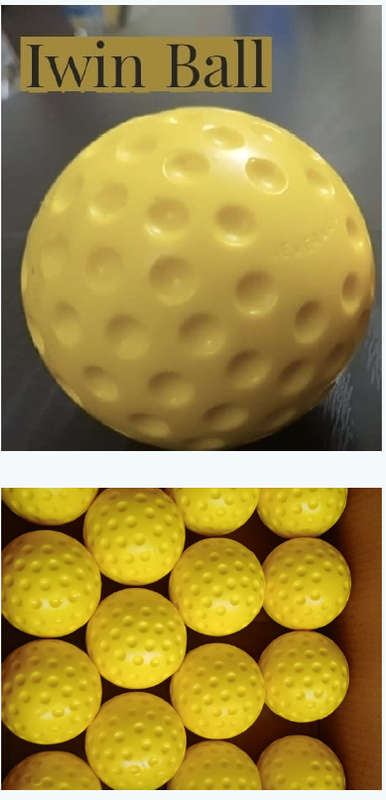 IWin Cricket Bowling Machine  Balls