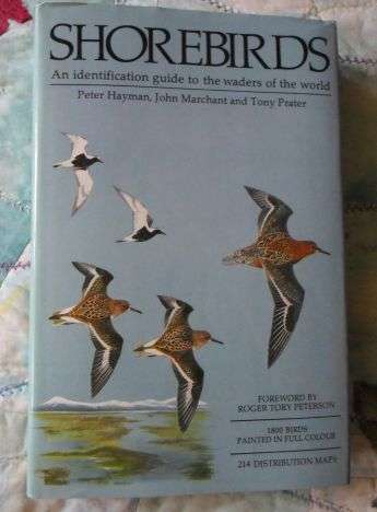 SHOREBIRDS - AN IDENTIFICATION GUIDE TO THE WADERS OF THE WORLD - PETER HAYMAN , JOHN MARCHANT