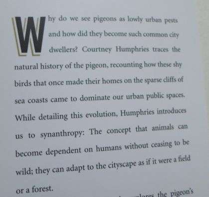 SUPERDOVE - HOW THE PIGEON TOOK MANHATTAN AND THE WORLD - COURTNEY HUMPHRIES