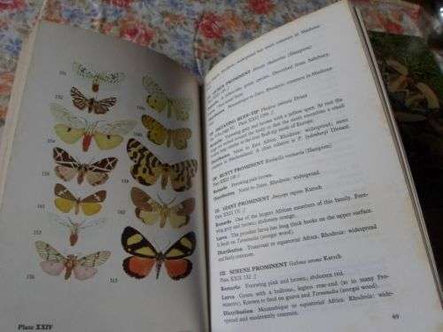 SOME WELL KNOWN AFRICAN MOTHS - ELIOT PINHEY - BUNDU SERIES