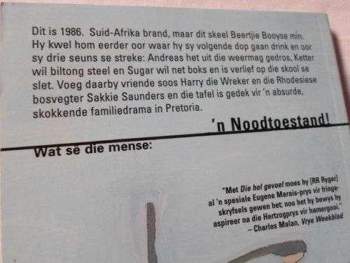 BEERTJIE EN SY BOYTJIES - R.R. RYGER