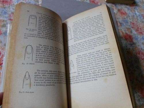 A MODERN GUIDE TO PALMISTRY - YOUR LIFE IN YOUR HANDS - BERYL HUTCHINSON