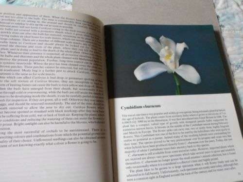 ORCHIDS IN COLOOUR - BRIAN & WILMA RITTERSHAUSEN