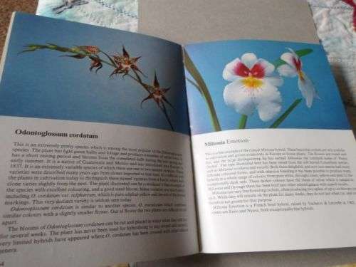 ORCHIDS IN COLOOUR - BRIAN & WILMA RITTERSHAUSEN