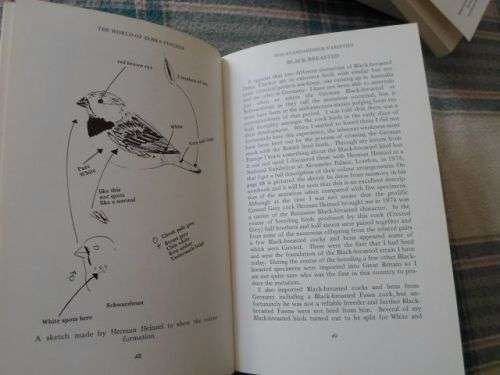 THE WORLD OF ZEBRA FINCHES - CYRIL H ROGERS