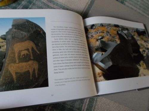 SAN ROCK ENGRAVINGS MARKING THE KAROO LANDSCAPE - NEIL RUSCH & JOHN PARKINGTON