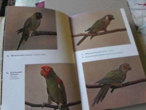 THE HANDBOOK OF FOREIGN BIRDS VOL 2 - A RUTGERS