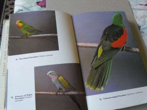 THE HANDBOOK OF FOREIGN BIRDS VOL 2 - A RUTGERS